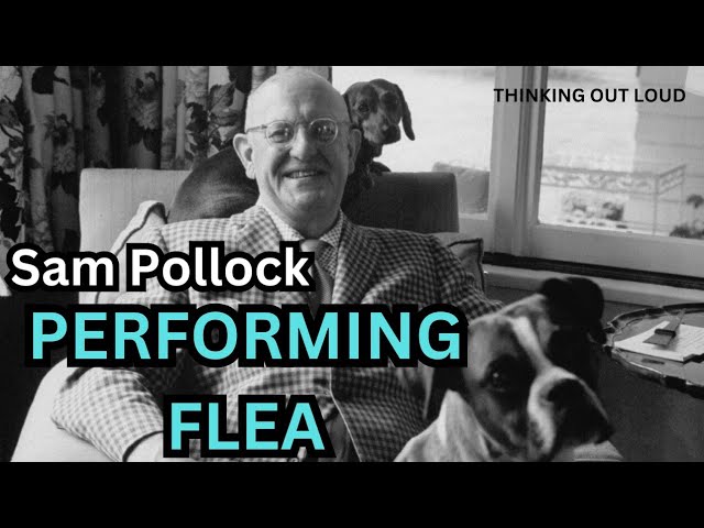Performing Flea | BBC RADIO DRAMA