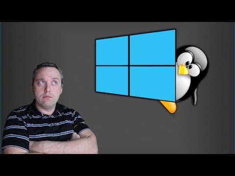 Linux Kernel on Windows | What Microsoft is Doing