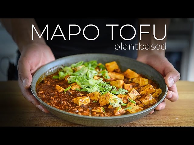 The Ultimate Mapo Tofu Recipe just A-CURD TO THE YOUTUBE ALGORITHM
