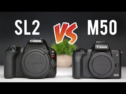 Canon M50 vs Canon SL2 Ultimate Comparison