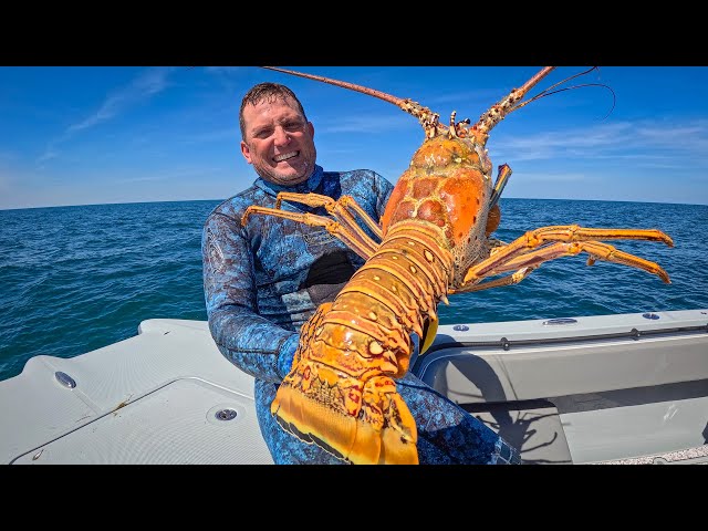 The Biggest Lobster I've EVER SEEN! {Catch Clean Cook} Whole Roasted Lobster