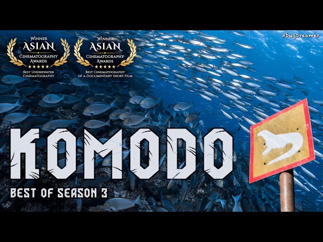 KOMODO DIVING | Best of Season 3 (Award Winning Video)