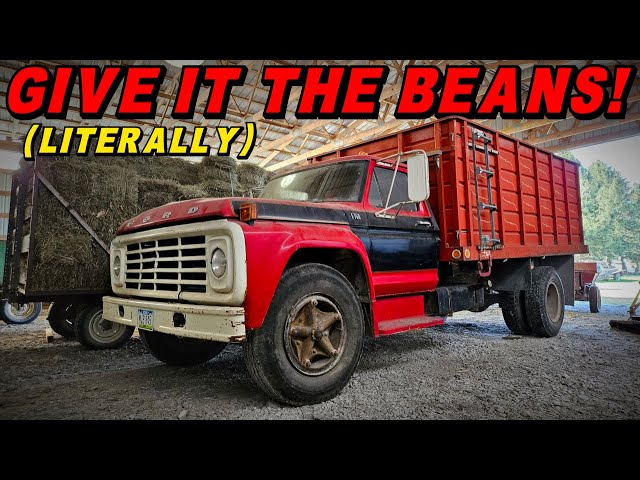 Will this Old Grain Truck RUN & DRIVE in Time for HARVEST!?