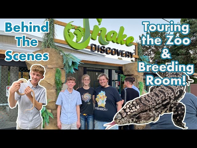 Behind the Scenes of Snake Discovery's Zoo & Reptile Breeding Facility!