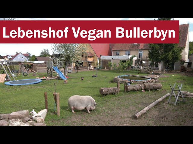 Lebenshof Vegan Bullerbyn: Paradies für Tiere im Landkreis Ansbach