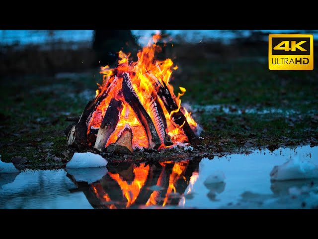 🔥Serene Fireside: 10 Hours of Riverside Campfire Bliss for Ultimate Relaxation 🔥 Campfire Ambiance