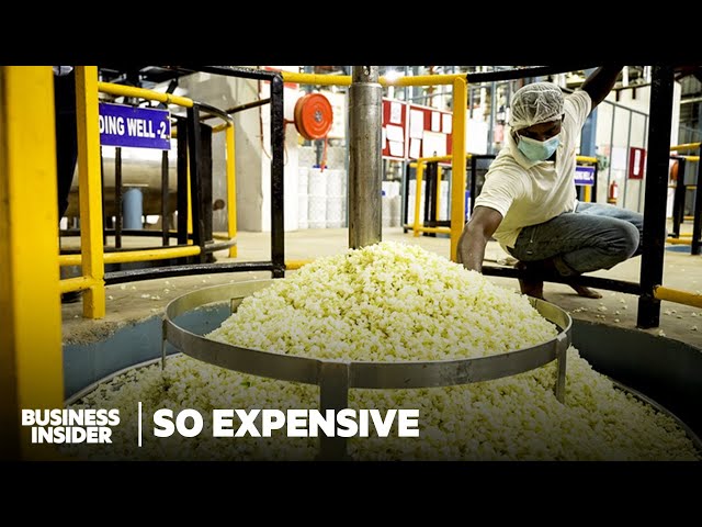 How 6 Of The World’s Most Expensive Oils Are Extracted | So Expensive | Business Insider