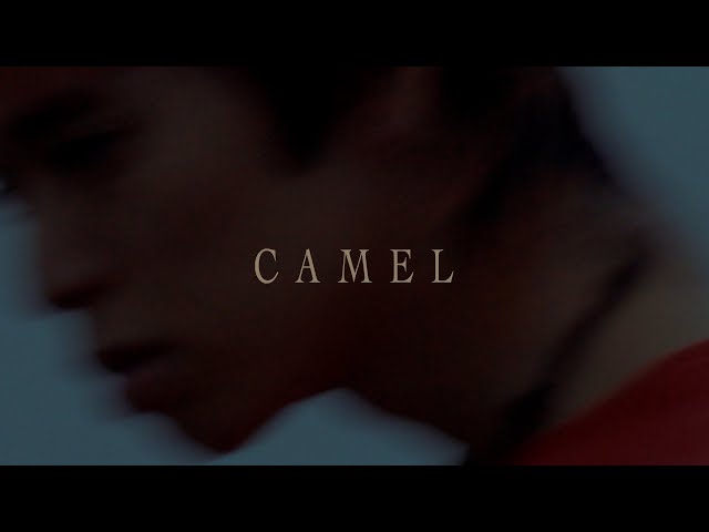 PEARL CENTER - CAMEL（Official Visualizer）