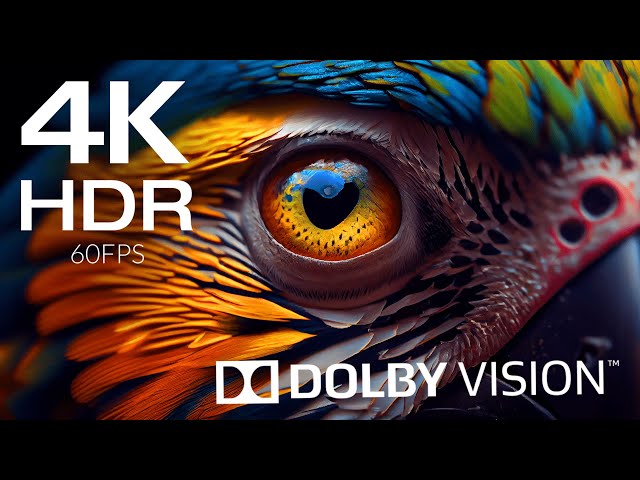 Best of Animals in Dolby Vision 4K HDR 60fps