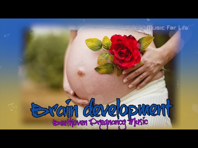 Pregnancy Music | Baby Kick In Womb | Brain Development.