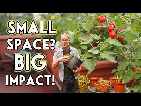 Small Space? BIG Impact!