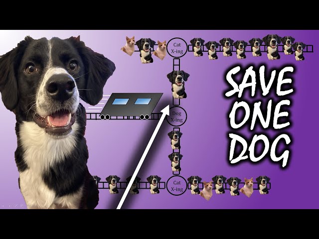 Save One Dog: A Game Theory Trolley Problem