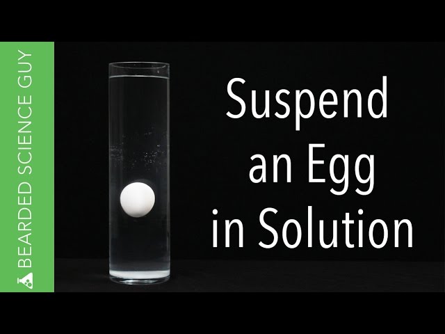 Floating Egg in Water Experiment (Chemistry)