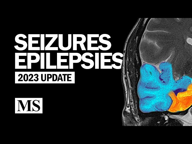 Seizures and Epilepsies (2023)