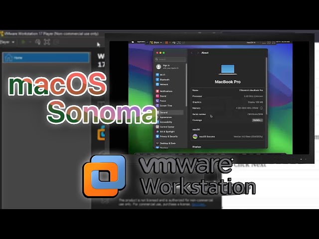 Running a MacOS 14 Sonoma VM in VMware