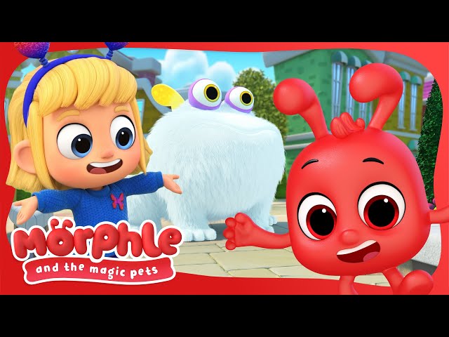 NEW SERIES | Morphle and the Magic Pets - Gobblefrog | Available on Disney+ and Disney Jr | @Morphle