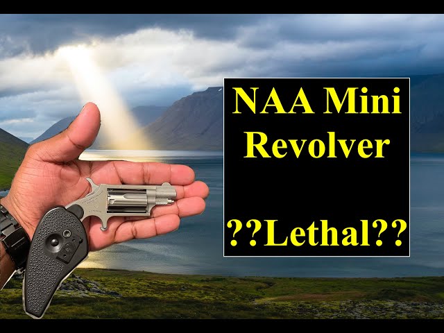 🔫NAA Revolver Chronograph | Are .22's Deadly | How barrel length effects bullet speed Mini Revolver