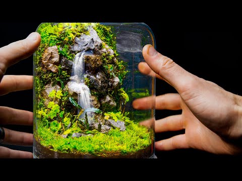 Flowing Waterfalls in a Small Jar (Moss Terrarium Build)
