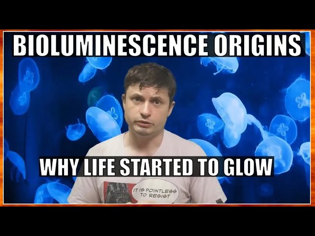 Discovery of the First Bioluminescent Organism on Earth (and Why It Matters)
