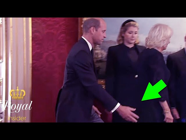 He is caring prince! Touching moment William offers Camilla steadying hand at St James's Palace