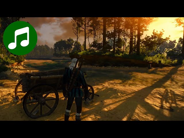 Relaxing WITCHER 3 Ambient Music 🎵 Night & Sunrise (Witcher 3 Soundtrack | OST)