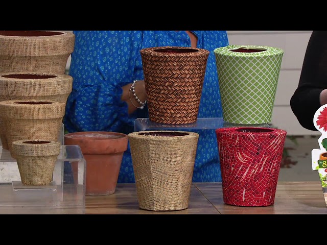 Ultimate Innovations Assorted Size Pot Sox S/8 Pot Covers on QVC