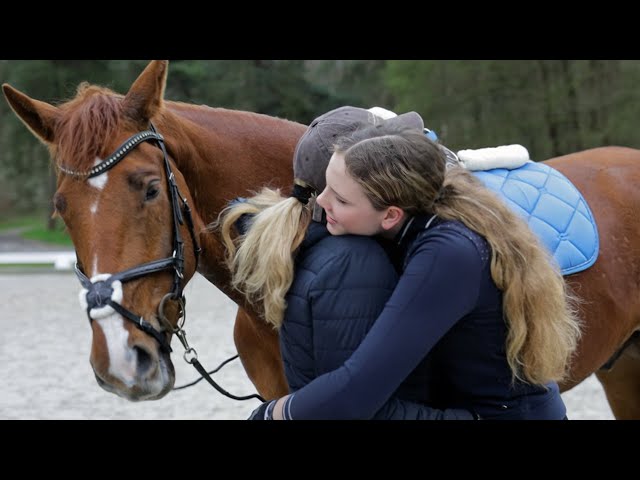 Schlechte Stimmung bei der Pferdeausbildung – Mutter sein ist nicht einfach