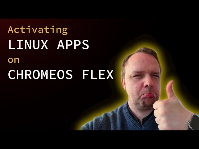 CHROMEOS FLEX | Activate Linux Apps | Run ANY Linux Program!