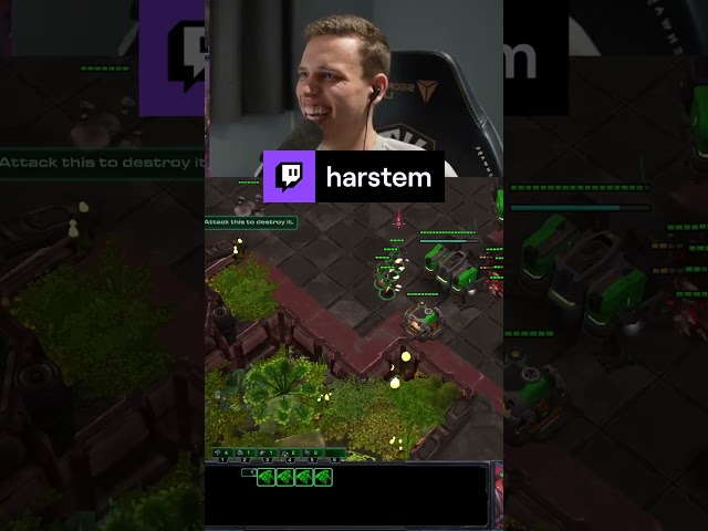 Harstem tries his luck