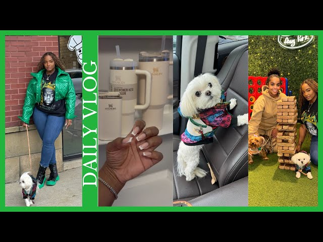 DAILY VLOG | STARTING OVER SUCKS + FINALLY SEEING A CHIROPRACTOR + GHOST FIRST DOGGY DATE & MORE