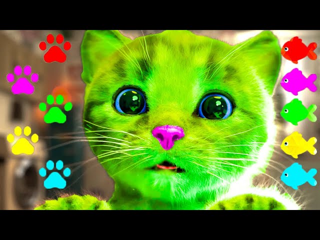 LITTLE KITTEN ADVENTURE FUNNY PET - ANIMATED CAT ON AN ADVENTUROUS JOURNEY TO A DRESS UP PARTY