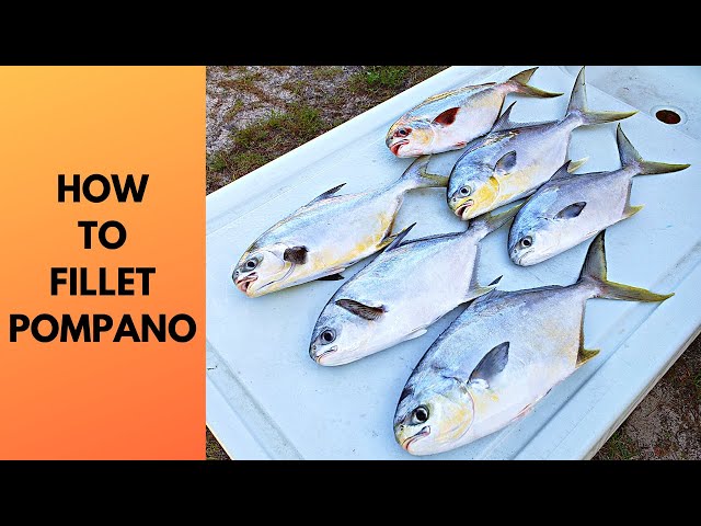How to Fillet a Pompano