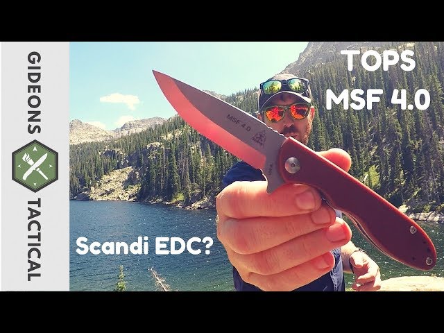 Can You EDC A Scandi? TOPS Knives MSF 4.0
