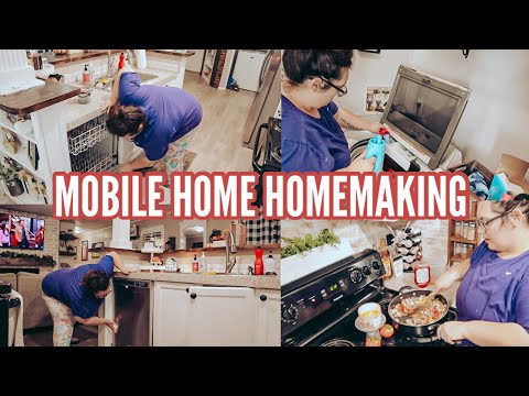 (OLD SINGLE WIDE) MOBILE HOMEMAKING