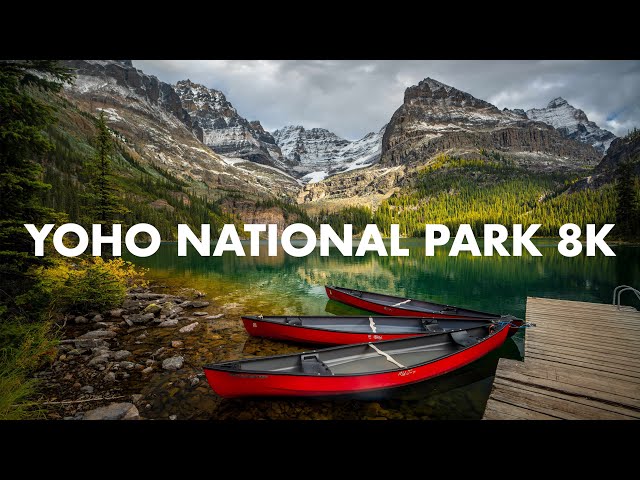 YOHO NATIONAL PARK 8K | Cinematic Time-lapse Film