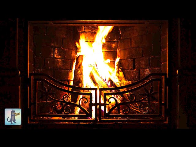 Warm Fireplace 🙌🔥 Cozy Crackling Logs!