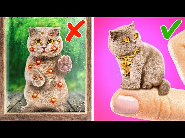 I Found This Poor Tiny Kitten And Save 🙀 *Crazy Pet Rescue*
