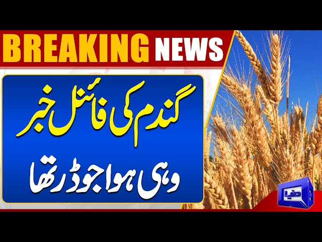 Wheat's New Price...?? | Important News Regarding Wheat | Dunya News