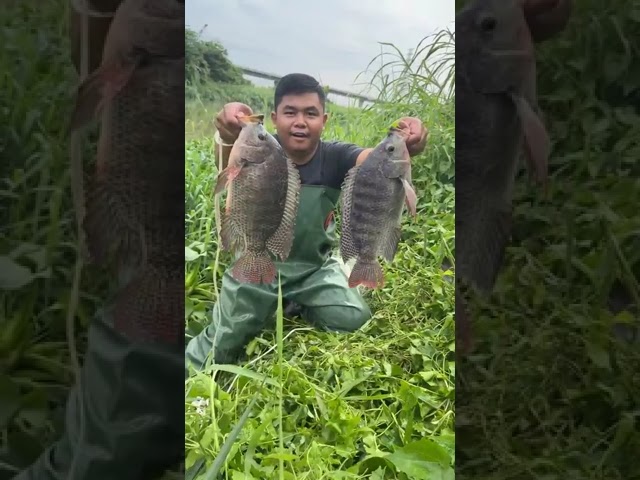 how to throw cast net for fishing in river, unbelievable cast net fishing in river