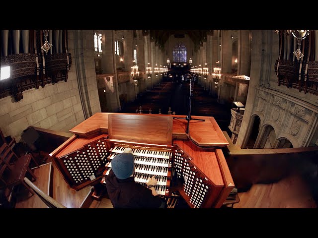 Pipe Organ (An instrument the size of a building)
