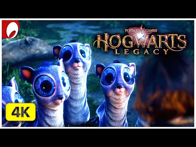 What's new in Hogwarts Legacy?