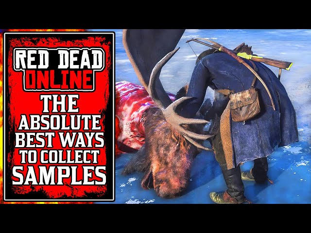 The BEST WAYS To Collect Samples & Rank Up Fast! New Red Dead Online Naturalist Update Tips (RDR2)