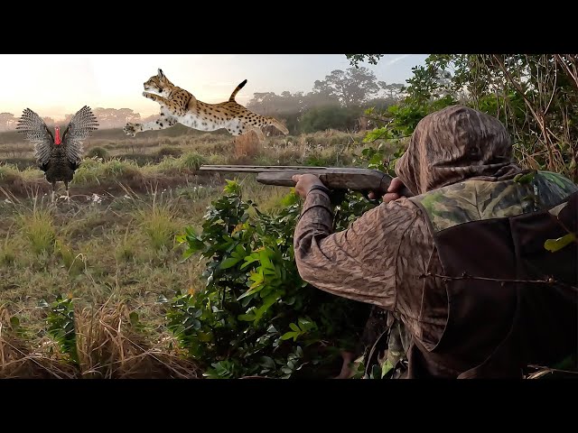 I Never Expected a WILD Bobcat to come this CLOSE!!! {Catch Clean Cook} Wild Turkey Jambalaya