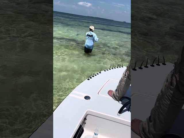 Key West Tarpon Fishing