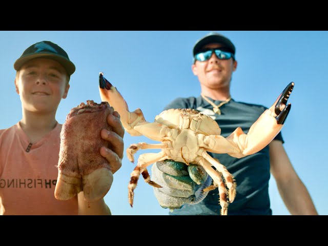 Searching for Giant Stone Crabs - Catch N Cook
