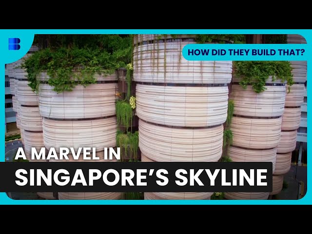 The Hive in Singapore - How Did They Build That? - S01 EP02 - Engineering Documentary