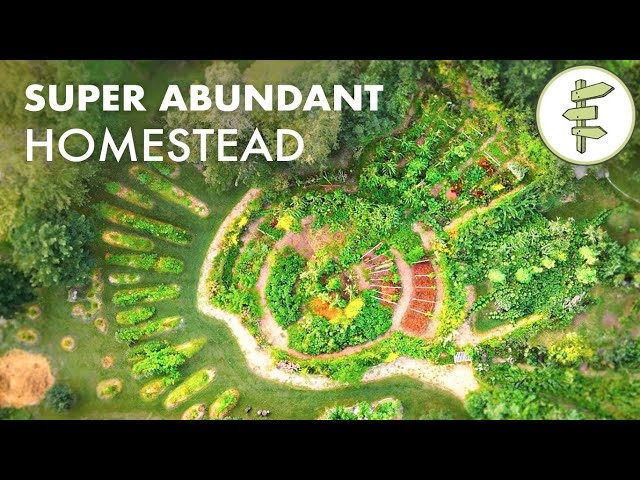 Family Growing 90% of Their Food on an Impressive Permaculture Homestead