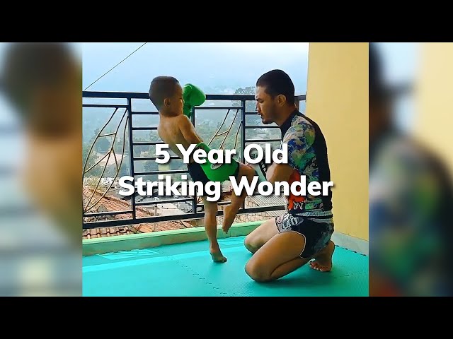 5 Year Old Striking Wonder