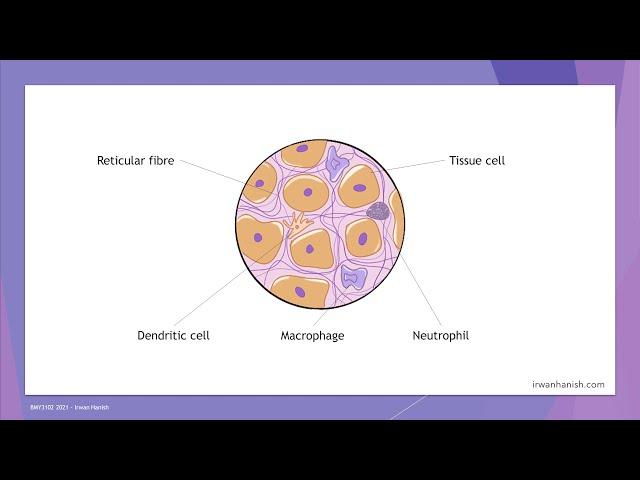 Introduction to Immunology (part 1)