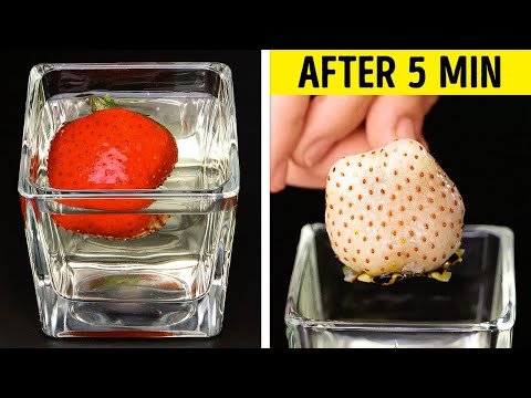 AMAZING SCIENCE EXPERIMENTS COMPILATION || DILUTE YOUR DAILY LIFE!